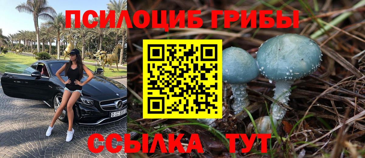 Галлюциногенные грибы Magic Shrooms Шахты