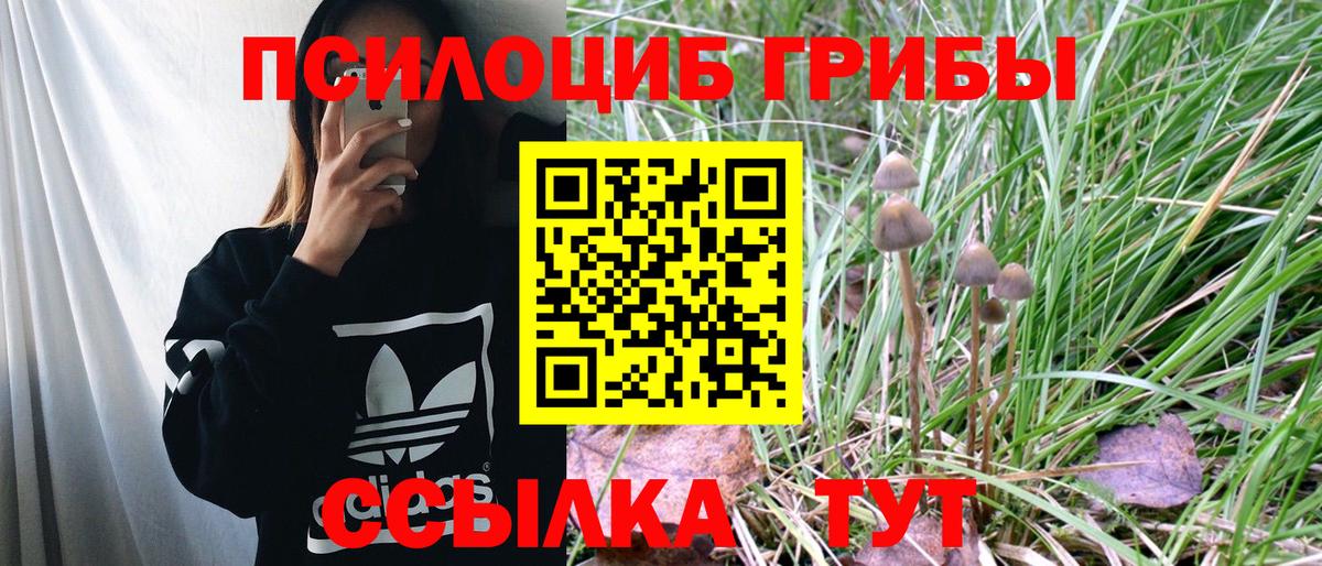 Шахты  Галлюциногенные грибы мухоморы  Псилоцибиновые грибы Psilocybine cubensis  Вход с VPN 